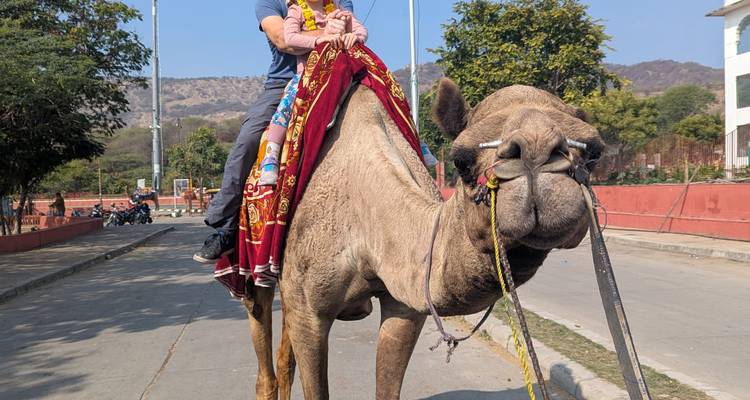 Traveller rides a camel down a paved street with arid hills and blue sky behind.