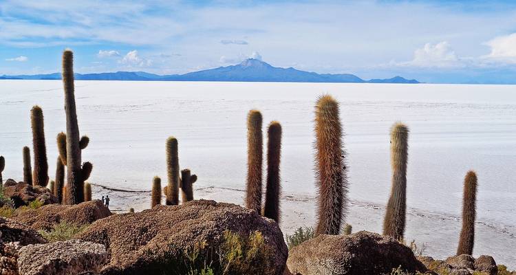 Los altos cactus se alzan desde una isla rocosa que domina las interminables llanuras de sal blanca.