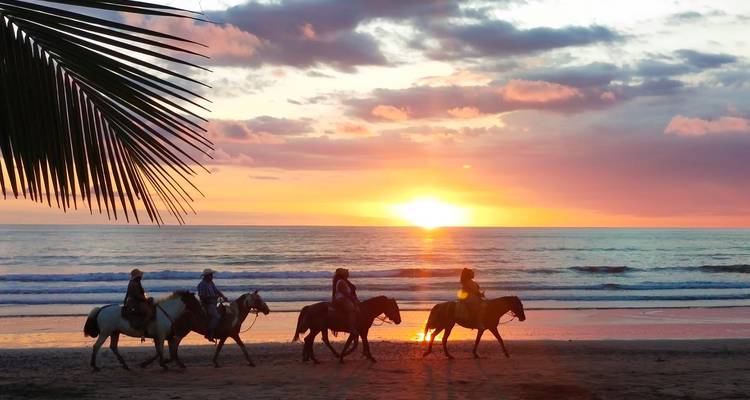 Silhouetted horseback riders on a tropical beach at vivid sunset