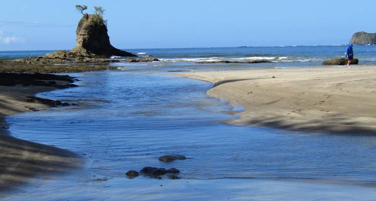 Narrow tidal stream winding across a sandy tropical beach toward rock sea stack