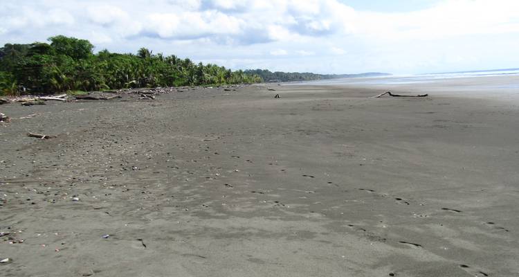 Wide expanse of empty black-sand beach with distant palm line and footprints