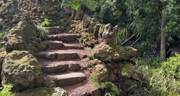 Viejos escalones de piedra cubiertos de musgo serpenteando hacia arriba a través de helechos densos y vegetación tipo jungla.