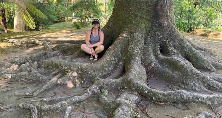 Un viajero se sienta con las piernas cruzadas en las raíces enormes de un árbol antiguo en un claro de jardín sombreado.