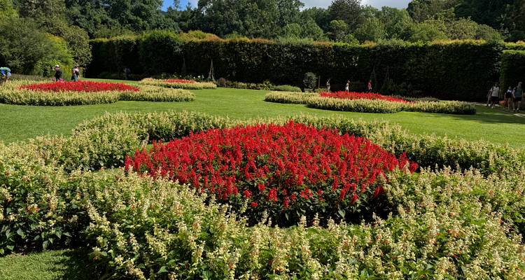 Macizos de flores circulares y coloridos con flores rojo intenso en un jardín botánico con un césped perfectamente podado.