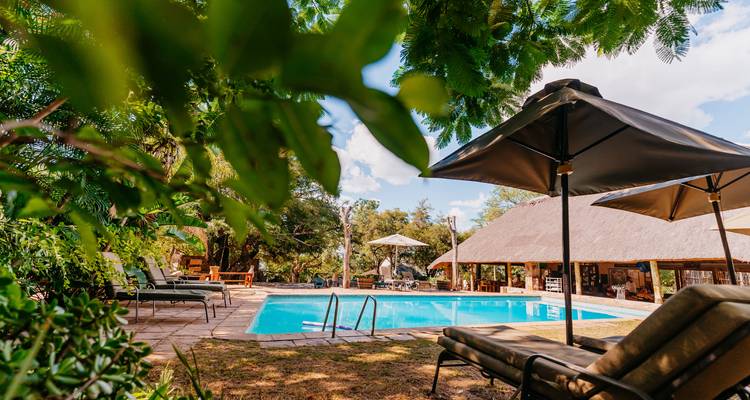 Piscine accueillante du lodge entourée de chaises longues et d'un parasol sous des arbres feuillus par une belle journée ensoleillée