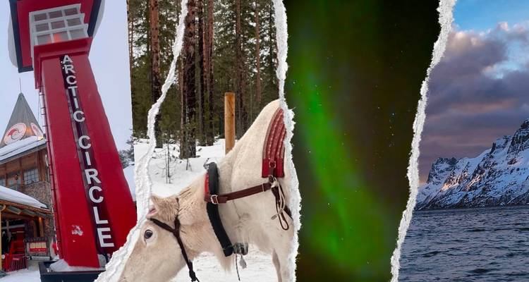 Collage of Arctic attractions showing Arctic Circle sign, reindeer, northern lights and rugged coast.