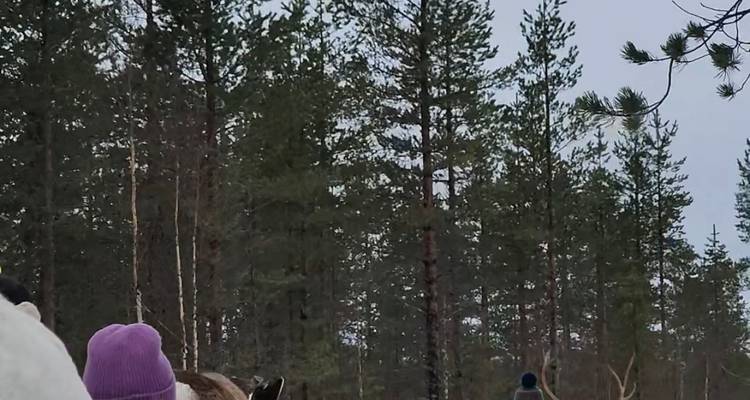 A reindeer pulls a wooden sleigh through a snowy forest with two bundled passengers.
