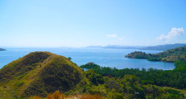 Sunny panorama of a green headland meeting calm blue waters with distant mountains on the horizon.