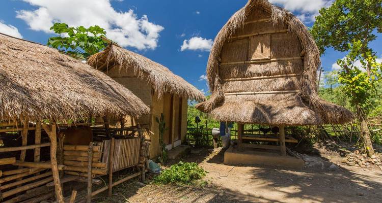 Traditional Sasak village with thatched huts beneath clear blue sky on Lombok