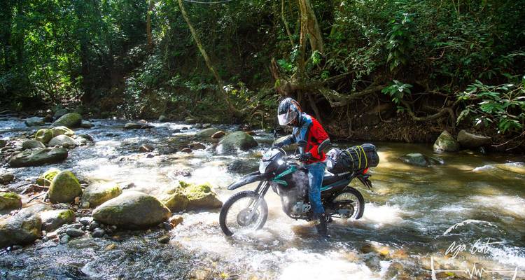 A rider pushes a motorcycle through a shallow forest stream splashing over rocks.