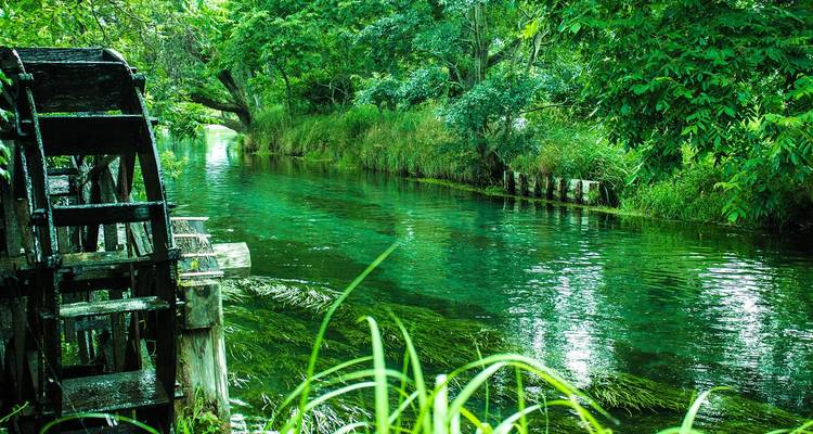 A serene green canal lined with trees and an old wooden water wheel.