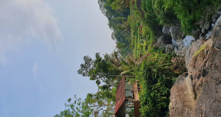 Cabane en bois et ruisseau rocheux au milieu d'une végétation luxuriante et de terrasses de riz