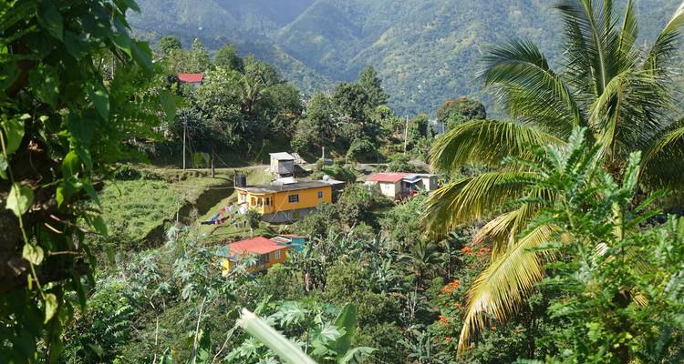 Des maisons colorées dispersées sur les pentes verdoyantes des montagnes, entourées de palmiers et de forêt
