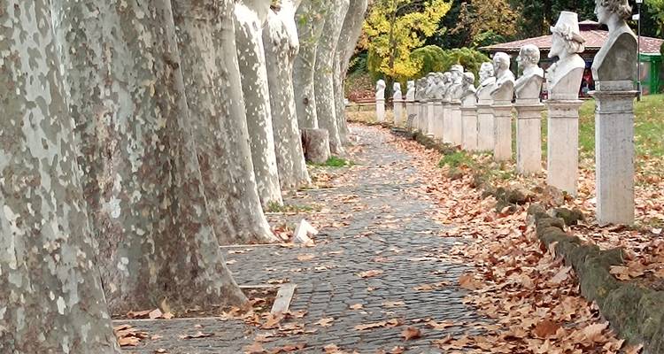 Leaf-strewn pathway lined with plane trees and marble busts in a city park