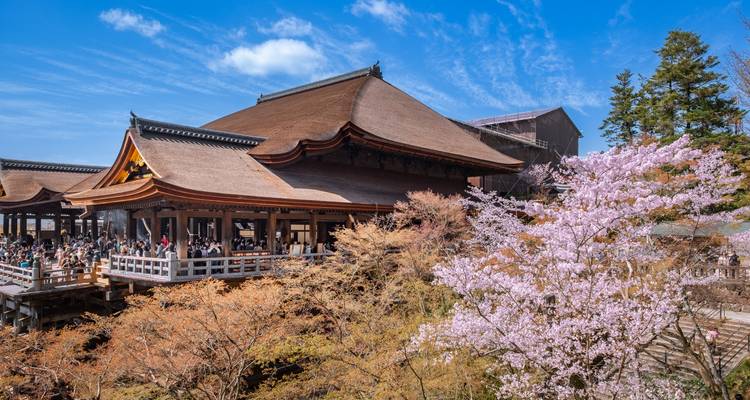 Kiyomizu-dera temple surrounded by cherry and maple blossoms on a clear spring day.