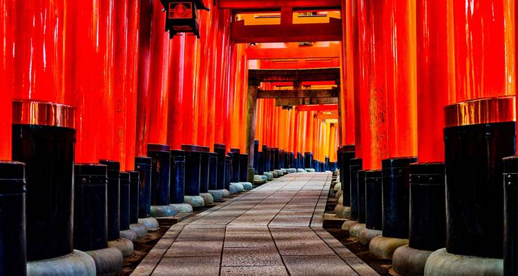 Vibrant corridor of red torii gates forming the famous pathway at Fushimi Inari Shrine.