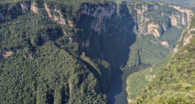 High viewpoint over a deep green canyon where a winding river snakes between sheer forested walls.