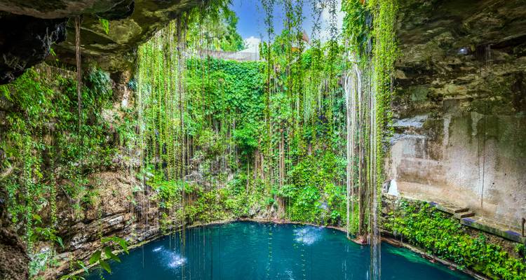 Pristine cenote with lush green vines cascading into sparkling blue water inside a natural limestone cavern.