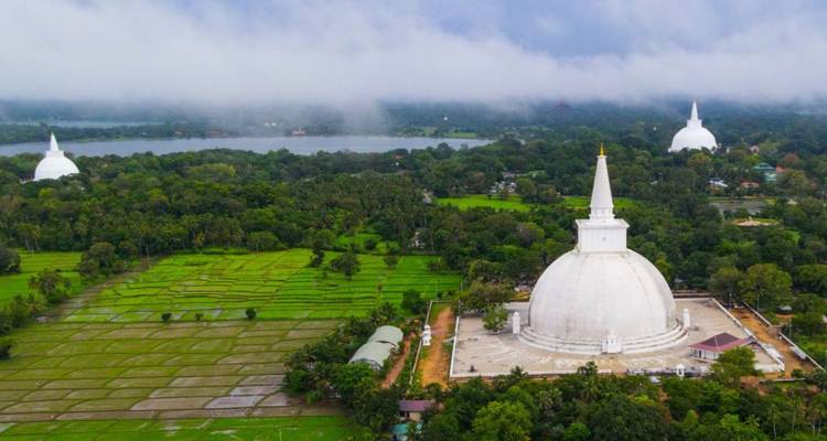 Aerial view of lush rice paddies and lakes surrounding white stupas near Anuradhapura.