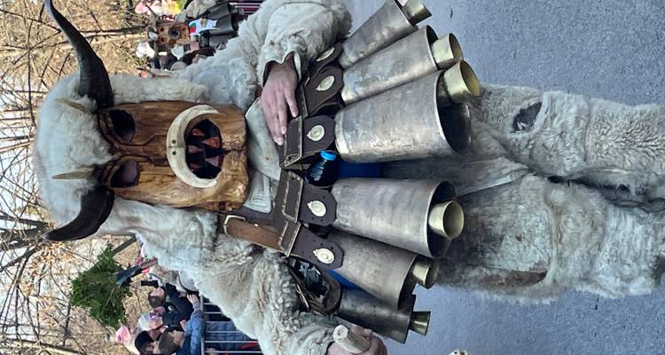 Een gefestiveerde deelnemer in kostuum met een bontpak, houten gehoornde masker en grote koeienbellen die langs een straat loopt tijdens een traditionele parade.