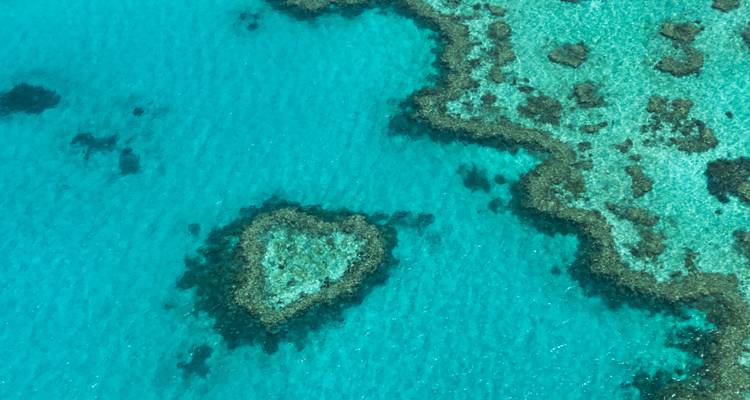 Aerial view of heart-shaped coral formation in the bright turquoise waters of the Great Barrier Reef.