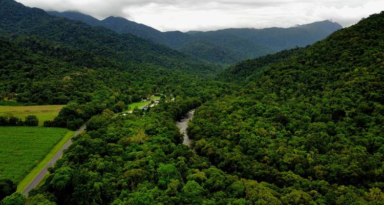 Aerial panorama of lush green rainforest valley with a winding river and misty mountains.