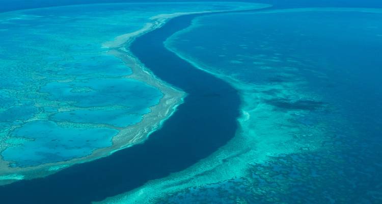 Aerial view of a deep blue channel slicing through vibrant coral formations of the Great Barrier Reef.