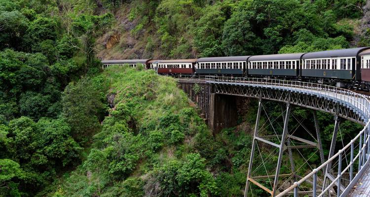 Heritage train winding across a high steel bridge through lush rainforest hillside.