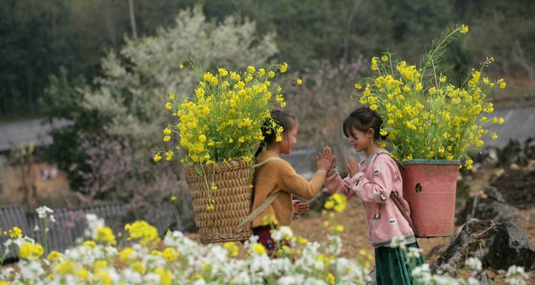 Dos niñas jóvenes cargando grandes canastas de flores amarillas se saludan mutuamente en un campo florecido.