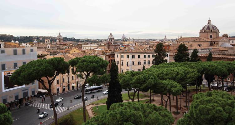 Elevated cityscape of Rome with umbrella pines, terracotta rooftops and domed churches stretching to the horizon.