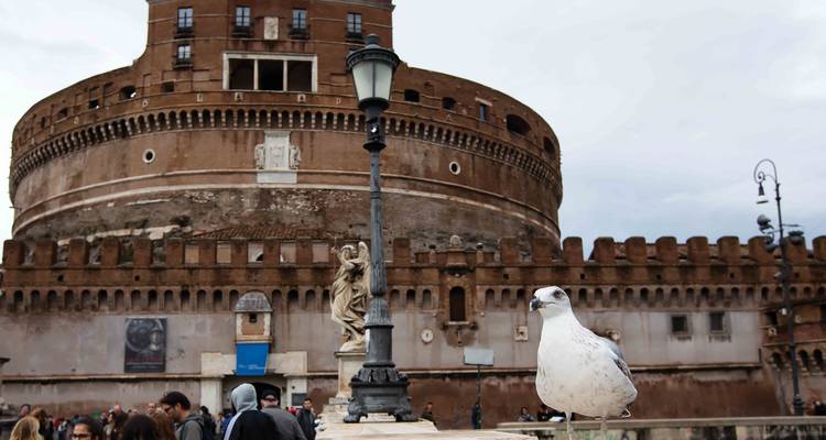 A seagull perches in the foreground while visitors approach Castel Sant’Angelo across the bridge on a grey day.