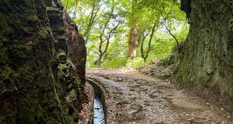 Narrow dirt path alongside a levada channel carved between mossy rock walls in dense forest