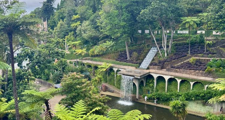 Lush terraced botanical garden with cascading water feature and tropical plants surrounding a reflective pond.