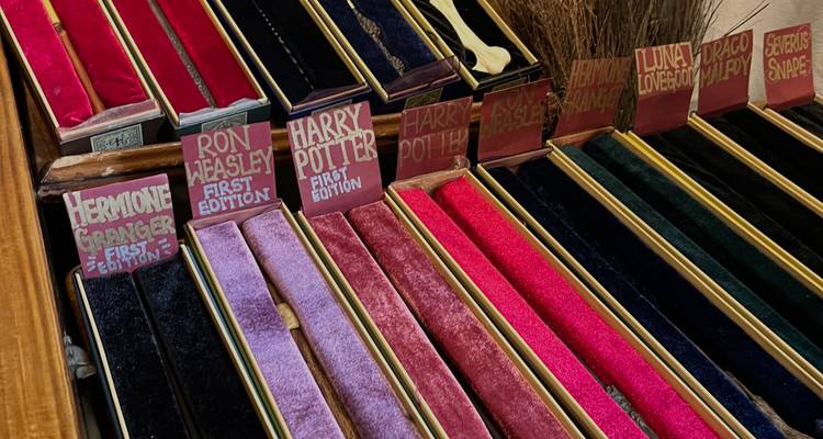 Des présentoirs remplis de baguettes magiques Harry Potter colorées et étiquetées exposées dans une boutique.