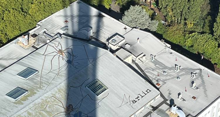 L'ombre de la Space Needle projetée sur un toit orné d'une gigantesque fresque d'araignée.