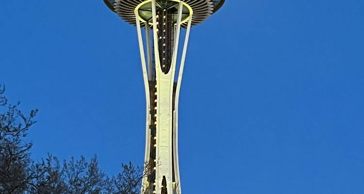 L'Aiguille de l'Espace illuminée contre un ciel bleu foncé en fin de journée encadré par des branches d'arbres.