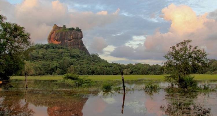 Sigiriya Rock Fortress rising above lush forest with its reflection in a flooded field at sunset.