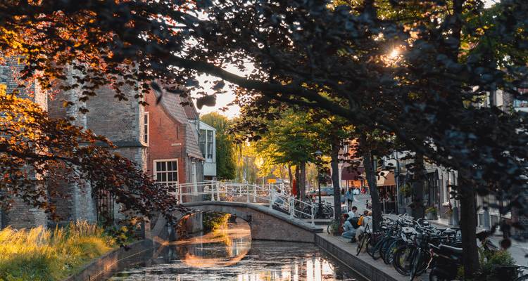 Tree-lined Delft canal with arched bridge glows in warm sunset light.