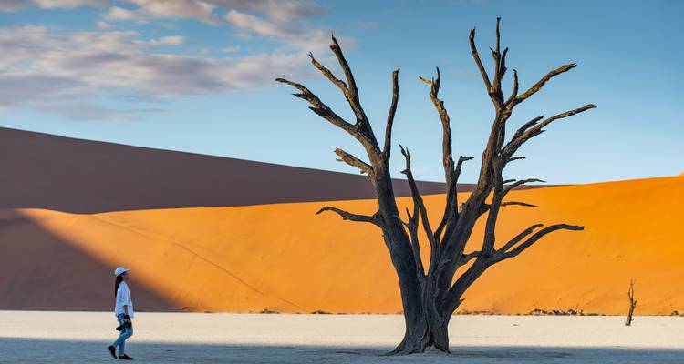 Een reiziger loopt over de witte kleibodem van Deadvlei langs een kale dode kameldoorntakenboom met oranje duinen op de achtergrond.