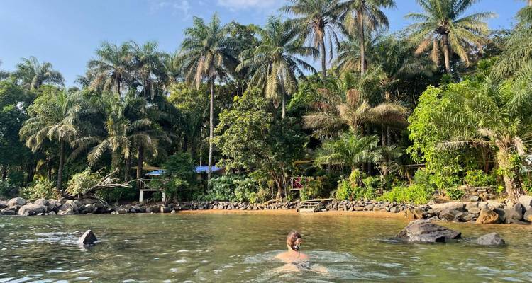 Persona buceando con esnórquel en agua clara y poco profunda con palmeras y una selva de fondo.