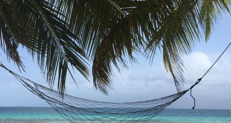 A beach hammock strung beneath palm fronds facing turquoise Caribbean waters and a clear sky.