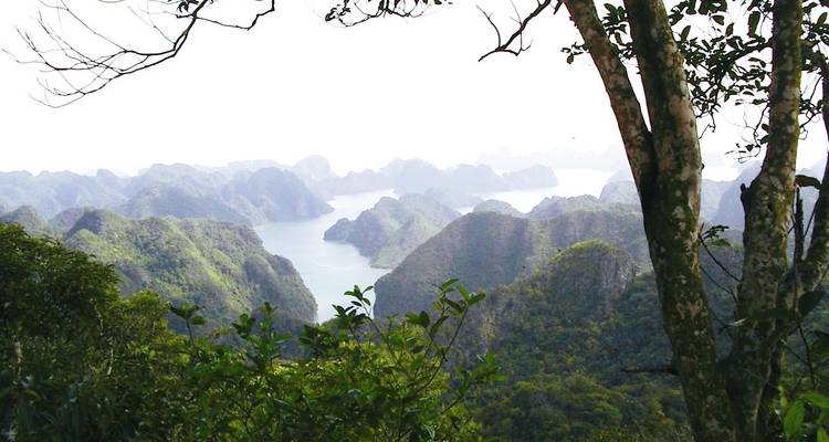 Mirador elevado con vistas a aguas esmeraldas salpicadas de islas de karst dramáticas, enmarcadas por ramas de árboles.