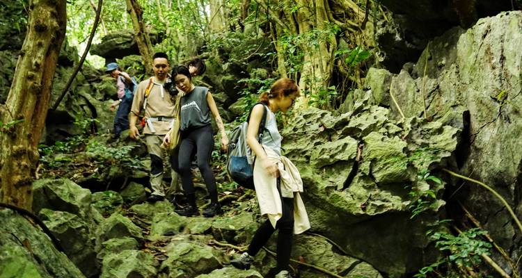 Los senderistas bajan cuidadosamente por rocas de piedra caliza accidentada entrelazadas con enredaderas de la selva.