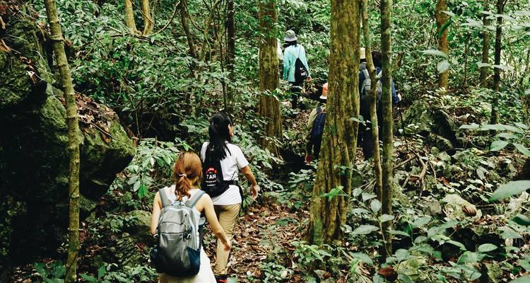 Senderismo en pequeños grupos por un sendero selvático lleno de vegetación, con mochilas a cuestas.