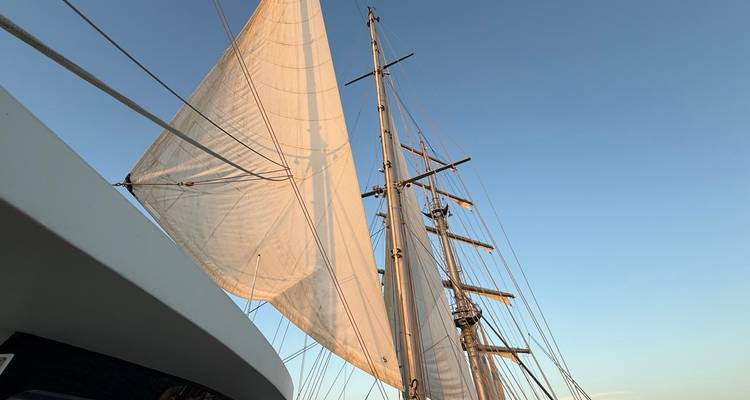 Close-up of tall white sails catching evening light on a classic wooden mast.