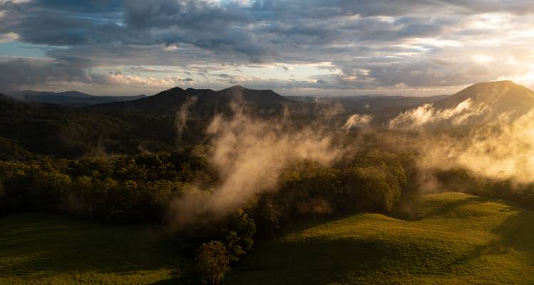 Morning mist rising over rolling forested hills under a dramatic cloudy sky in the hinterland.
