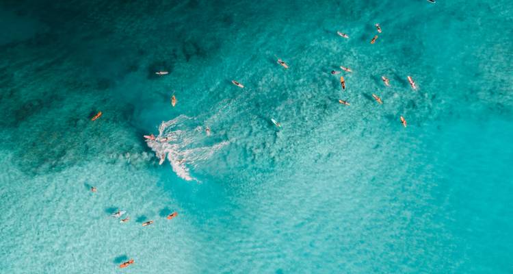 Aerial shot of surfers paddling in crystal-clear blue water waiting for waves.