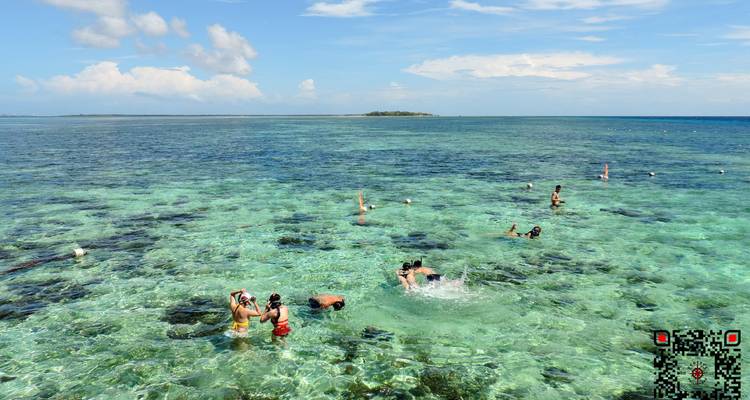 Des plongeurs en apnée explorant un récif corallien peu profond dans une eau bleu clair ; un code QR bien visible figure dans le coin.