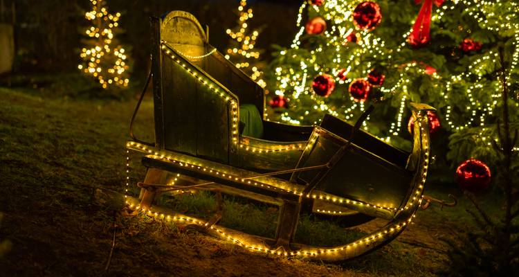 An old wooden sleigh outlined with fairy lights sits beside a decorated Christmas tree at night.