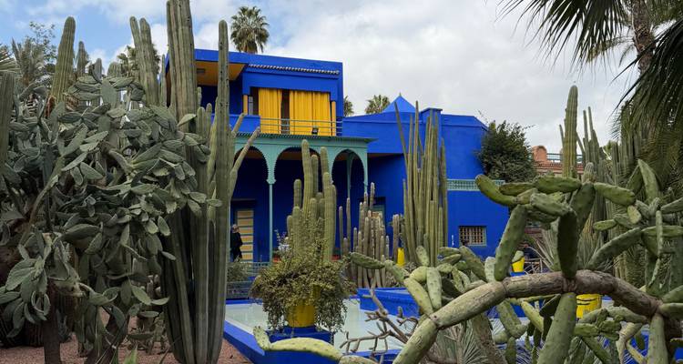 Bright blue villa of Jardin Majorelle surrounded by tall cacti and palms